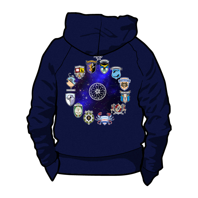 DestinyHoodie